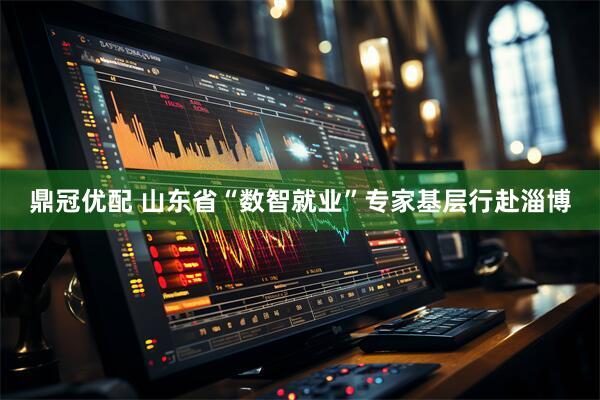 鼎冠优配 山东省“数智就业”专家基层行赴淄博