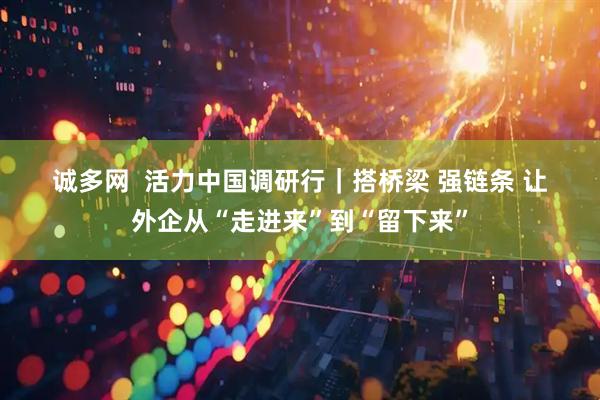 诚多网  活力中国调研行｜搭桥梁 强链条 让外企从“走进来”到“留下来”